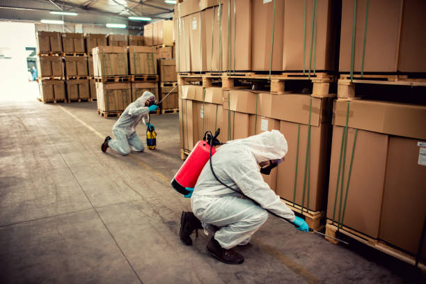 Best Mosquito Control Services  in Livingston, TN