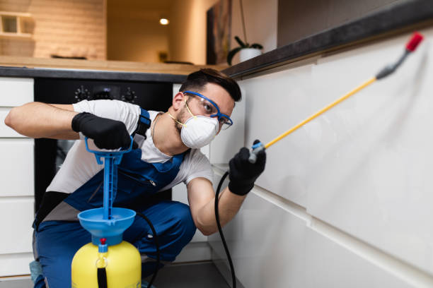 Best Pest Control Near Me  in Livingston, TN