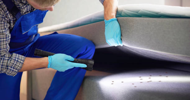 Best Bed Bug Extermination  in Livingston, TN
