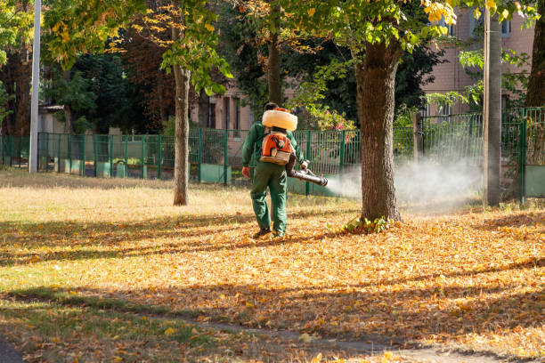 Best Pest Inspection Near Me  in Livingston, TN