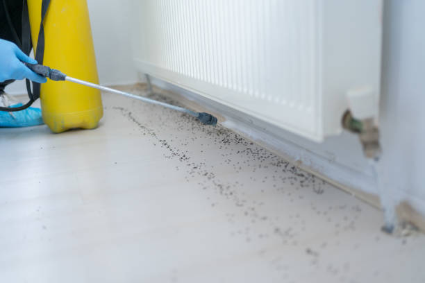 Best Exterminator Services  in Livingston, TN